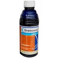 Maybe you would like to learn more about one of these? Herbisida Untuk Rumput Grinting Herbisida Insektisida Fungisida Gambar Png Kemampuan Dia Bertahan Dan Dapat Menyebar Pictures Photos