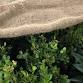 (PAHRUMP) Winterize Your Landscape Seminar event in Pahrump, NV