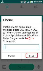 Kemudian untuk cek sisa kuota tri silahkan lakukan dial *123*2*3# atau dengan sms ketik info kuota kirim ke 234. Paket Internet Tri Harian 3gb Rp 3500 Solusi Paket 2000 Yang Hilang Dekjoko Com