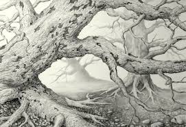 Drawing Of A Old Dead Tree Based On A Photo I Took Years Ago Pencil On Bristol Paper Tree Drawing Drawings Birch Tree Art