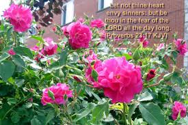 Bible verses about flowers and gardens. Pin On Bible Verses