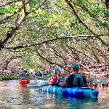 Maybe you would like to learn more about one of these? Shell Key Preserve Kayak Tour St Petersburg Kayak Tours Kayaking Florida Rentals