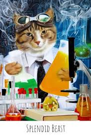 Does Your Cat Like Testing The Law Of Gravity Get Your Own Custom Pet Portrait Of A Cat Conducting Science Ex Custom Pet Portraits Pet Portraits Cat Portraits