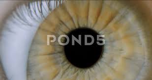 Check spelling or type a new query. Extreme Close Up Shot Stock Video Footage Royalty Free Extreme Close Up Shot Videos Pond5