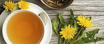 Image result for Leonotis myrothamnifolia