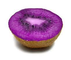 This discussion forum is at the top of our site because it's usually the busiest part of the expat community chatter with random topics on just about everything, including expat life, khmer politics, cambodian blogs we have or have come across, or whatever else our members want to discuss. The F O O D Blog Purple Kiwi Fruit Purple Food