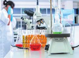 Нефть из растений: как промышленная химия создает мир биоразлагаемых полимеров