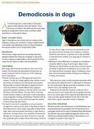 Veterinary Client Handout Demodicosis In Dogs Download