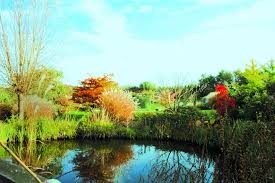 Epingle Par Ali Conquerre Sur I Was Born Here Wambrechies Nord Nord Pas De Calais