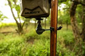 Image result for Tree Green 2018 Fleet