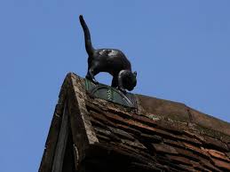 Maison Milliere Dijon Chat Sur Le Toit Gargouille Region Bourgogne Dijon