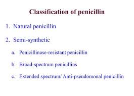 Image result for Extended Spectrum Penicillin