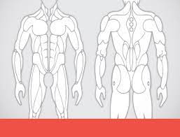 In addition, this form is also widely used for minors seeking tattoos and piercings in accordance with the respective state laws. Ebook Body Planes Tattoo Smart
