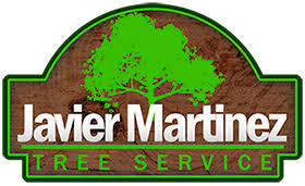 We manage your property as if we live there ourselves. Home Javier Martinez Tree Service