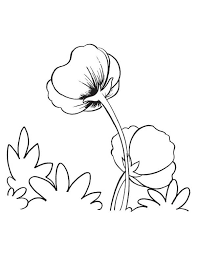 Check spelling or type a new query. Poppy 162539 Nature Printable Coloring Pages