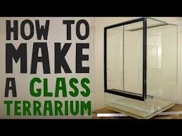 19 How To Build A Glass Terrarium Vivarium Youtube Reptile Terrarium Frog Terrarium Vivarium