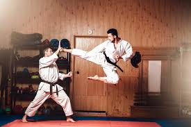 best martial arts cles studio in