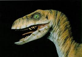 Velociraptor J01 Dinosaur Face Jpg 999 699 Velociraptor Pictures Velociraptor Prehistoric Creatures