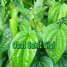 We did not find results for: Obat Sakit Gigi Herbal Alami Fur Android Apk Herunterladen