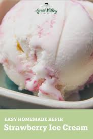 Lactose Free Ice Cream Recipe Recipe In 2020 Homemade Ice Cream Recipes Ice Cream Maker Recipes Easy Ice Cream Recipe