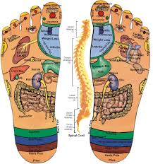 my own thoughts acupressure reflexology charts collection