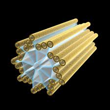 Animal cells are without a definite shape but plant cells have definite shape because cell wall is present in plant cells and absent in animal cell.plant cell has large centriole helps in cell division. What Role Do Centrioles Play In Cell Division And Mitosis