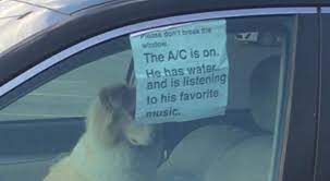 Please Don T Break The Window Know Your Meme