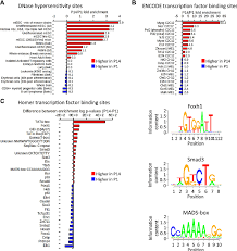 Analysis Of Differentially Methylated Regions For Enriched Dnase Download Scientific Diagram