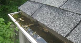 If so, you have gutters around the roof of your home that help to drain the rain during a storm. How Often Should I Clean My Gutters Lee Company