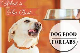 Best Dog Food For Labradors A Complete Guide 2020