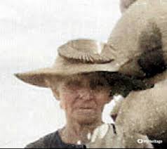 Sylvia Maude Isabel (Hayne) McDonald (1880-1960)