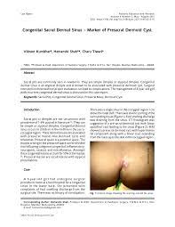 A Duplicated Gluteal Cleft Associated With Occult Download Scientific Diagram