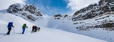 Maybe you would like to learn more about one of these? Covid 19 Alberta Public Health Emergency And Mountain Programming November 25 2020 Yamnuska Mountain Adventures