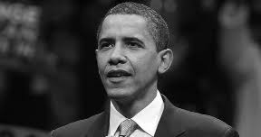 Elm Tree web 2:Layout 1