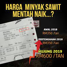 Secara umum, populasi ini memiliki keunggulan pada bobot tandan yang relatif besar dengan rerata berat tandan : Gangutara On Twitter Harga Sawit Naik Melebihi Rm600 Satu Tan Terima Kasih Kerajaan Malaysia Awal 2018 Rm350 Tan Tengah 2018 Lepas Pru Rm350 Tan Terkini Hujung 2019 Rm600 Tan Rahmat Buat Pekebun Sawit Bila Harga