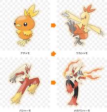 Images Of Torchic Evolution Chart Www Industrious Info