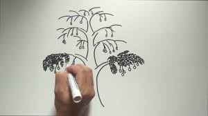 20 contoh soal psikotes yamaha kumpulan contoh soal : Cara Menggambar Pohon Mangga Psikotes Gambar Pohon Dan Tes Wartegg Agar Lolos Psikotest Tes Tes Psikotes Pt Hpm Honda Prospec Menggambar Pohon Gambar Orang