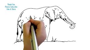 How to draw an elephants body step 1. How To Draw An Elephant Side View Yzarts Youtube