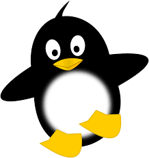 Pi58xlxmt Png 999 1062 Penguin Images Penguins Funny Free Clip Art