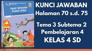 Keberagaman makhluk hidup di lingkunganku >>> halaman 70. Kunci Jawaban Tema 3 Kelas 4 Subtema 2 Pembelajaran 4 Halaman 70 75 Youtube