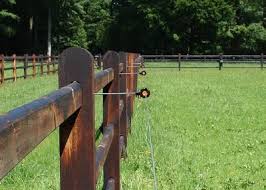 Electric fences deter bears by providing an electric shock when the animal touches the charged wires. Electric Fence Insulators As An Addition To Wooden Fencing Gallagher