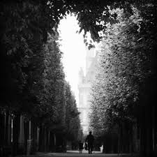 El Camino De La Vida Es Una Historia De Amor De Luces Y Sombras De Perdon O Rencor Heart In Nature Paris Photography Photo Heart