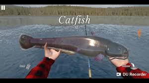Free download ultimate fishing simulator v 2.34 hack mod apk (money) for android mobiles, samsung htc nexus lg sony nokia tablets and more. Ultimate Fishing Simulator Android Cz Sumec 7 75kg Gameplay 03 Youtube