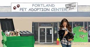 Maybe you would like to learn more about one of these? Portland Pet Adoption Centers Demand Citizens Exchange White Pets For More Inclusive Black Pets