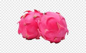 The best food for bearded dragons. Pitaya Auglis U679cu8089 Red Meat Food Two Fresh Dragon Fruit Dragon Tropical Fruit Png Pngegg