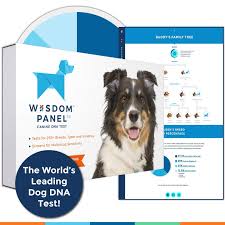 Boughtagain Awesome Goods You Bought It Again Dog Dna Test Canine Dna Test Dog Dna