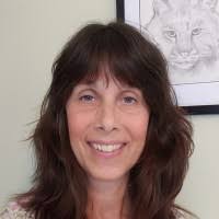 400+ perfiles de «Lagoy»