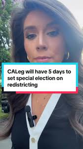 CALeg: 5 Días para Establecer una Elección Especial