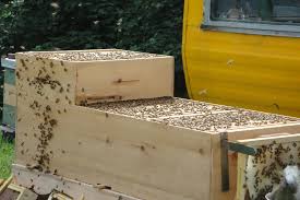 The use of top bars, as opposed to frames with foundation, is a reason that many who follow natural beekeeping principles tend to like the top bar. Biodynamic Honeybees Have Proper Names And Personal Log Records Its The Bees Knees