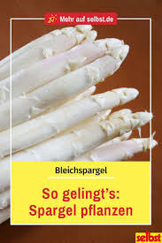 Spargel Pflanzen So Klappt S Im Eigenen Garten Spargel Pflanzen Spargel Und Pflanzen